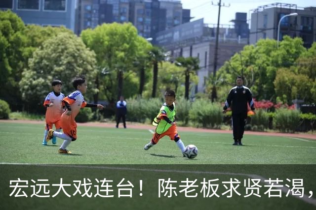 宏远大戏连台！陈老板求贤若渴，徐杰转行吃播