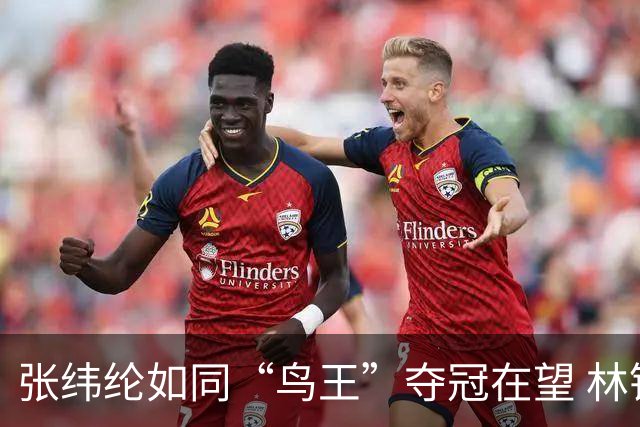 张纬纶如同“鸟王”夺冠在望 林钰鑫等遗憾出局