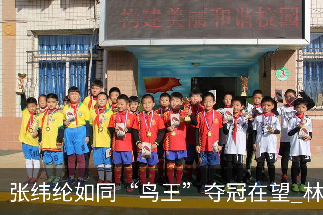 张纬纶如同“鸟王”夺冠在望 林钰鑫等遗憾出局